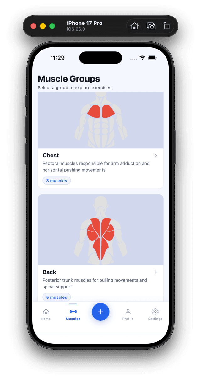Muscle groups screen